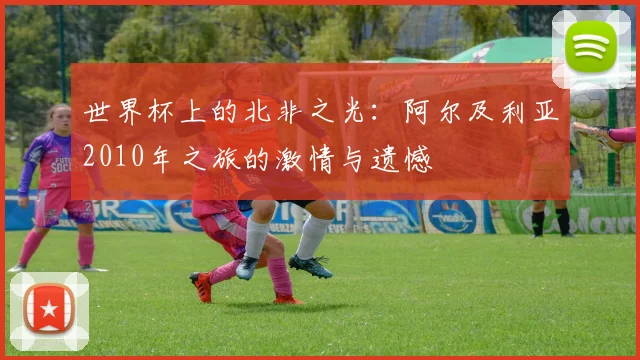 世界杯上的北非之光：阿尔及利亚2010年之旅的激情与遗憾