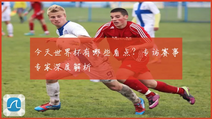 今天世界杯有哪些看点?专访赛事专家深度解析