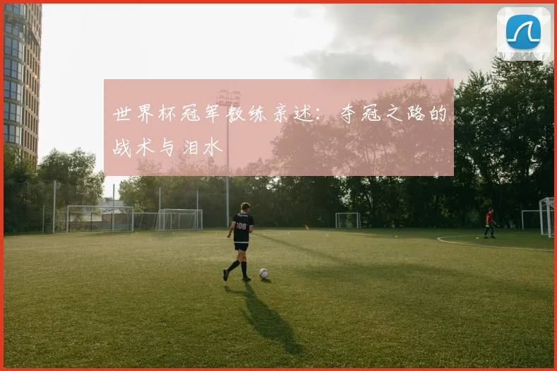 世界杯冠军教练亲述：夺冠之路的战术与泪水