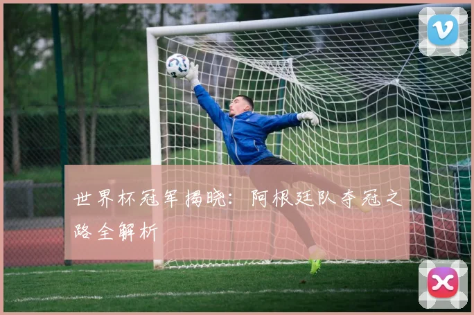 世界杯冠军揭晓：阿根廷队夺冠之路全解析