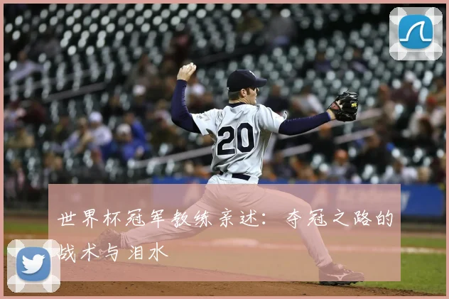 世界杯冠军教练亲述：夺冠之路的战术与泪水