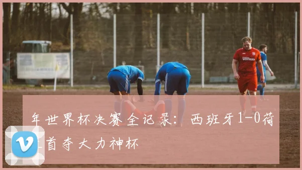 年世界杯决赛全记录：西班牙1-0荷兰首夺大力神杯