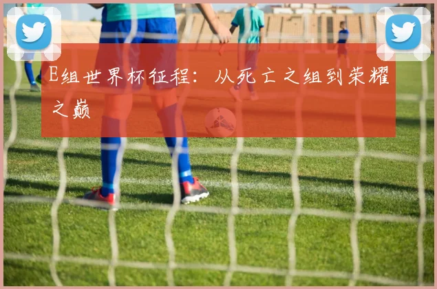 E组世界杯征程：从死亡之组到荣耀之巅