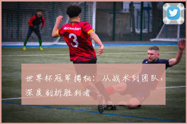 世界杯冠军揭秘：从战术到团队，深度剖析胜利者