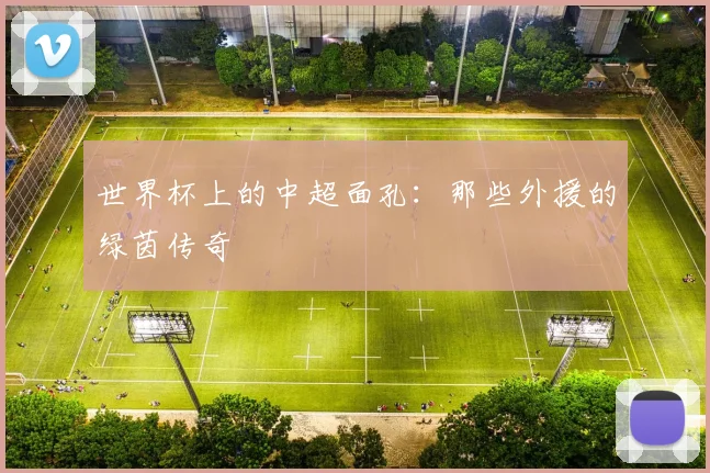 世界杯上的中超面孔:那些外援的绿茵传奇