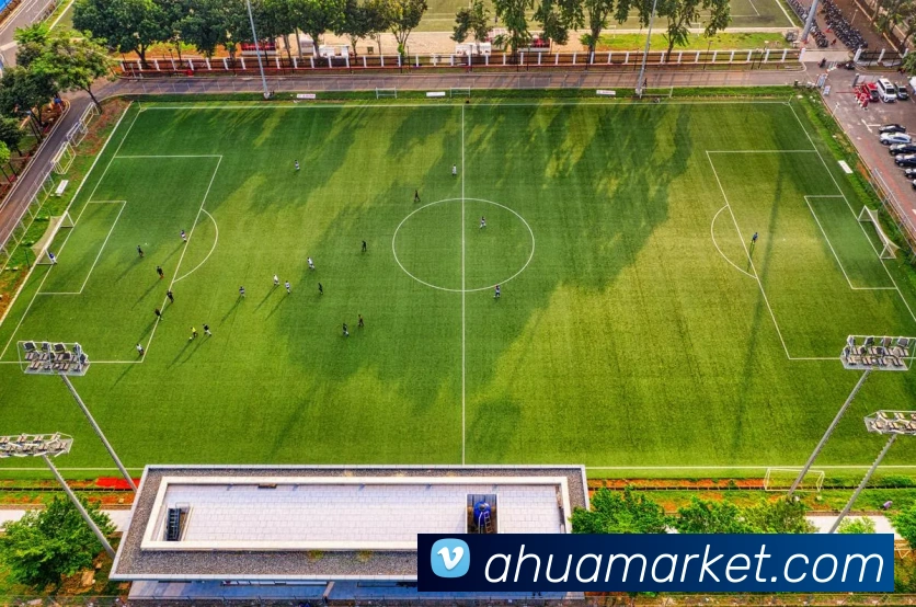 mksports什么网站平台生态图